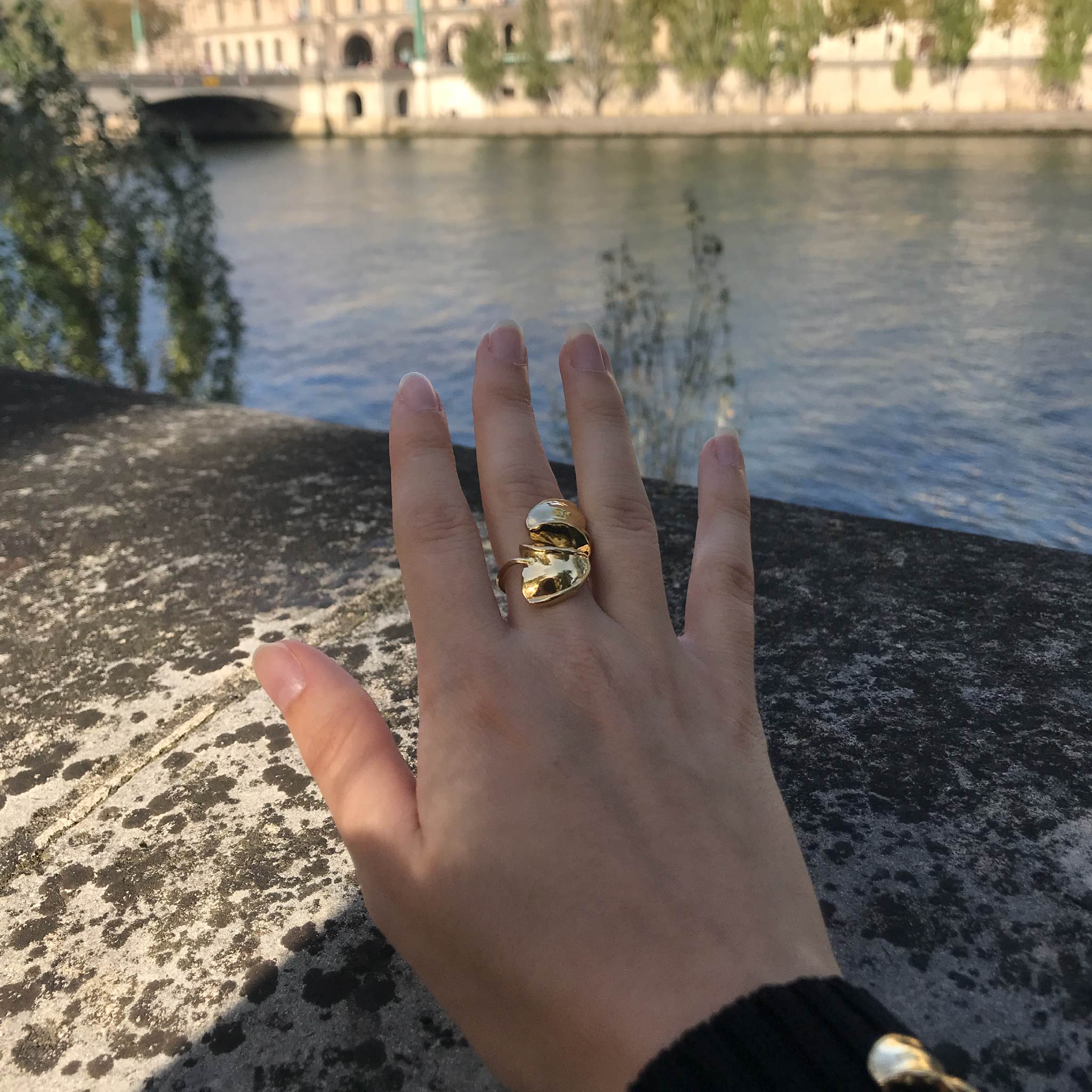 Fragment Ring 14k Gold Plated