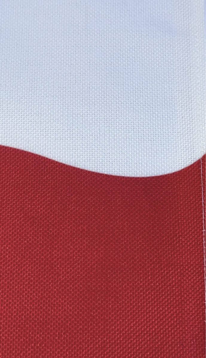Wave Placemat in Poinsettia