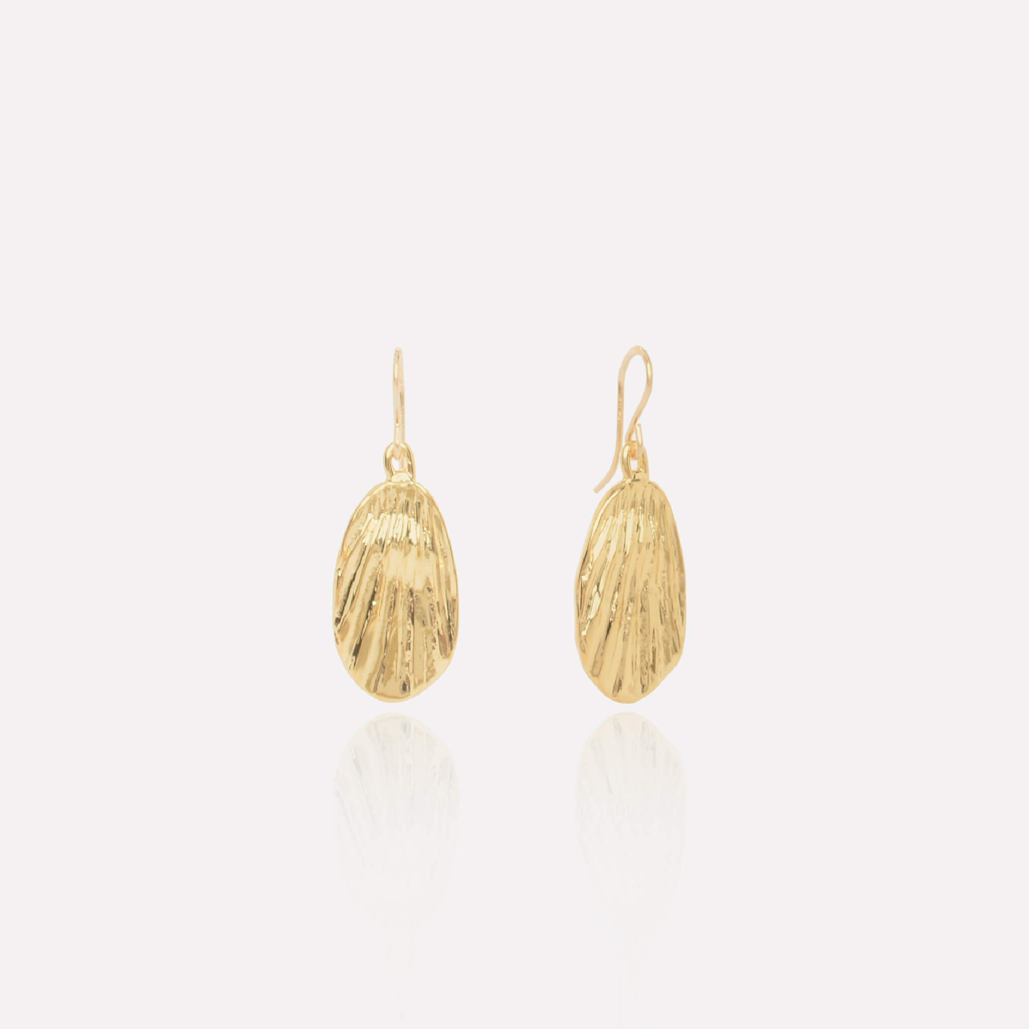 Scallop Shell Earring 14k Gold Plated