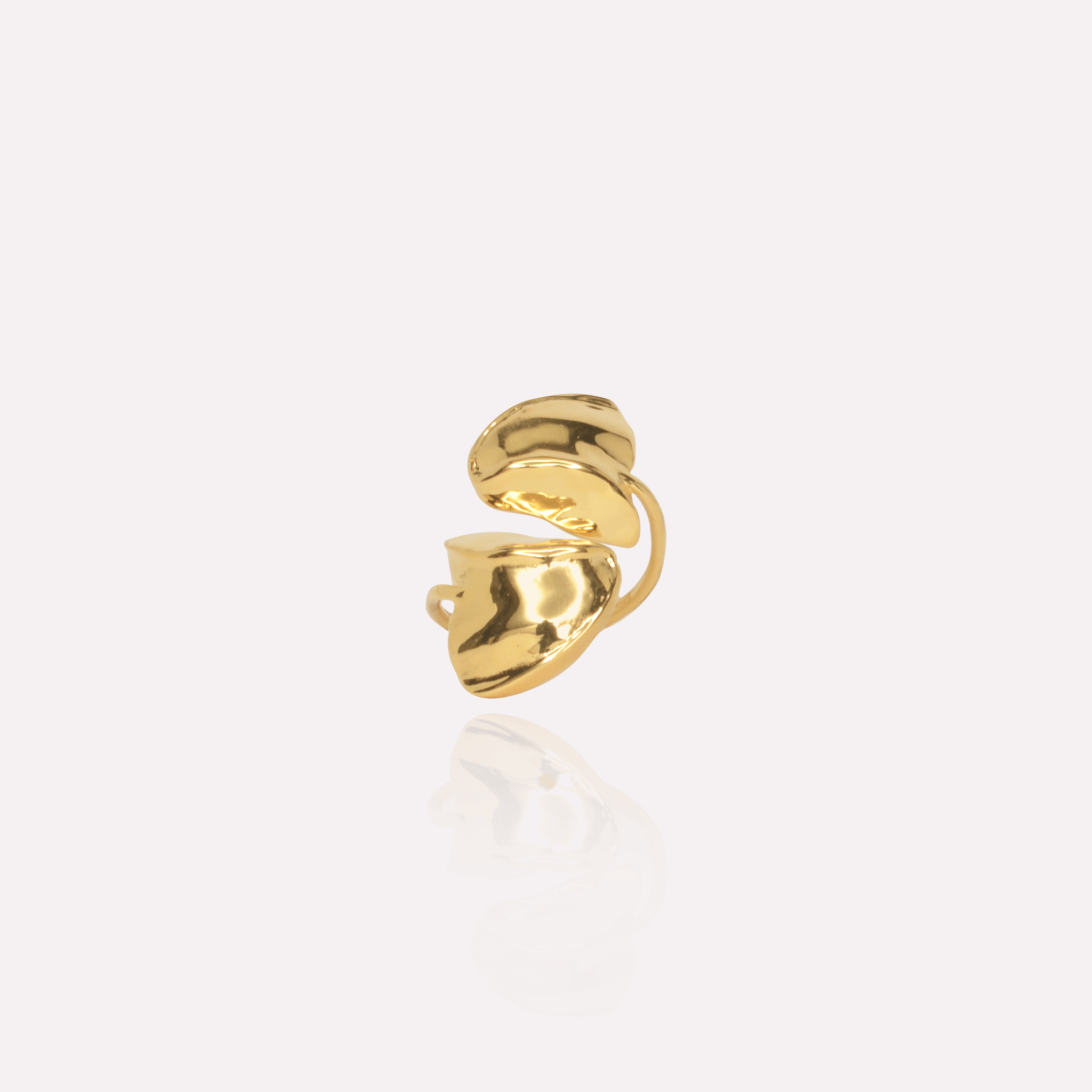 Fragment Ring 14k Gold Plated